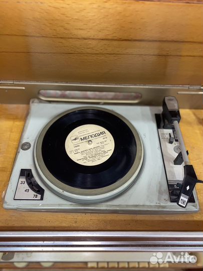 Радиола ригонда