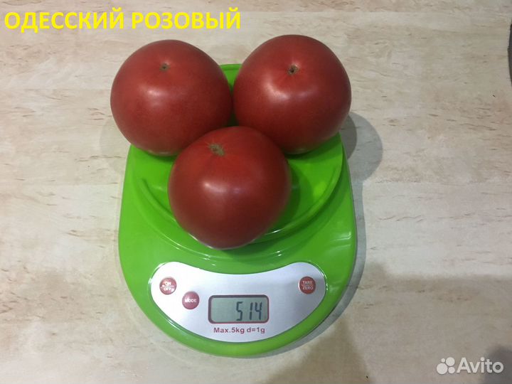 Семена сортовых томатов, семена помидор
