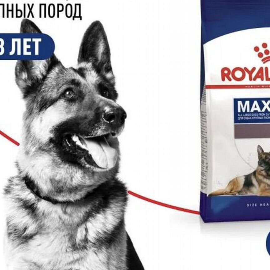 Корм для собак Royal Canin Maxi Ageing 8 