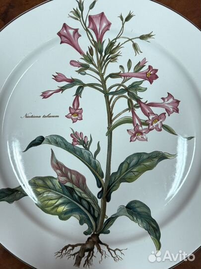 Villeroy boch botanica блюдо под горячее