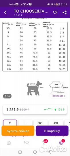 Дождевик для маленькой собаки