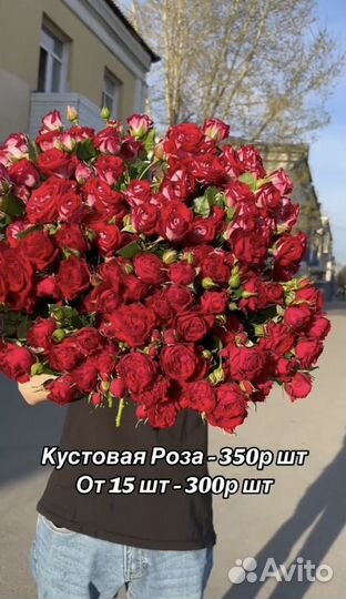 Кустовая роза Букет Цветы с доставкой