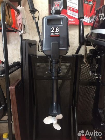 Мотор лодочный Sea-pro T2.6S