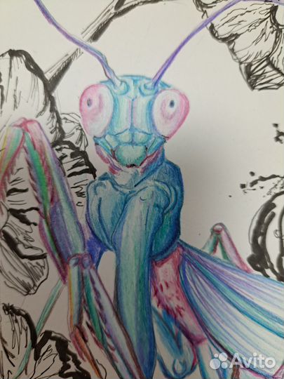 Картина карандашом