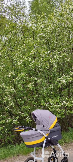 Коляска verdi optima 3 в 1