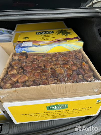 Финики суккари 3 кг свежие