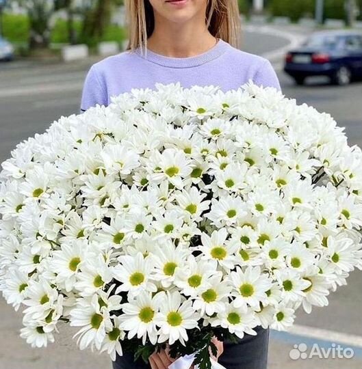 Хризантема Букеты доставка цветов