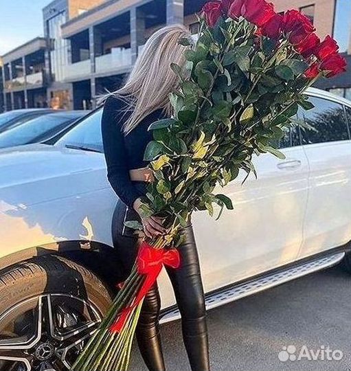 Высокие розы Гигантские розы 110