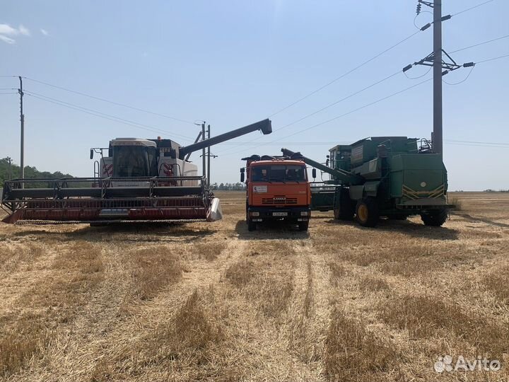 Уборка урожая