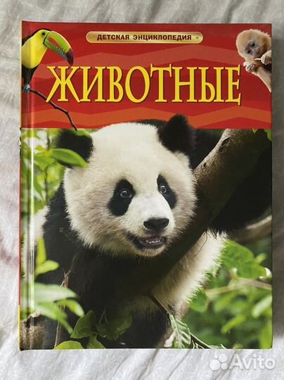 Детская энциклопедия