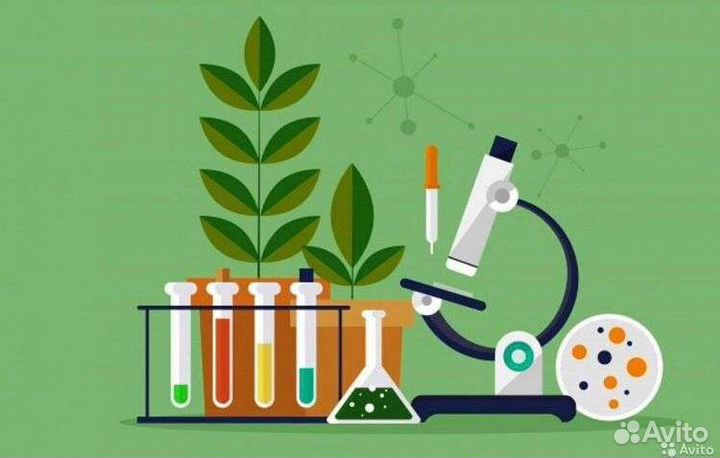 Репетитор по биологии