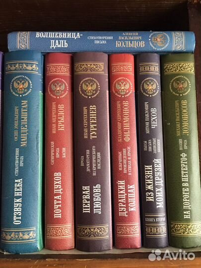 Серия Новая библиотека русской классики