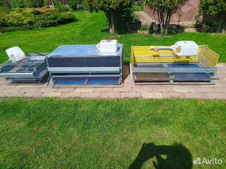 Клетки для перепелов бу