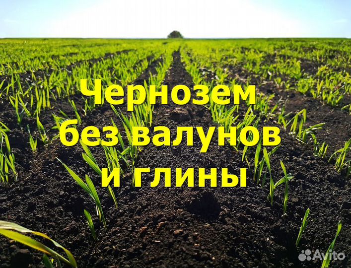 Чернозем