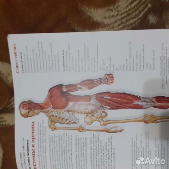Атлас по анатомии человека