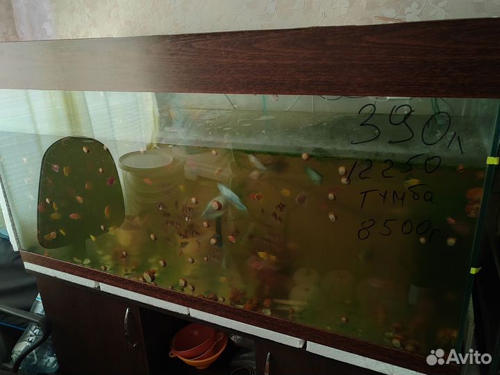 Аквариум с тумбой 390литров