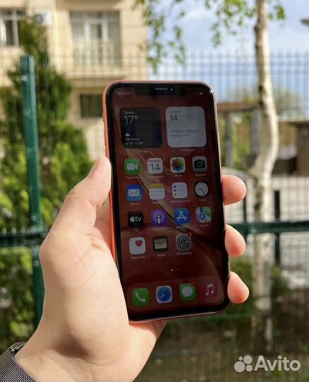 Оригинал iPhone XR 64gb