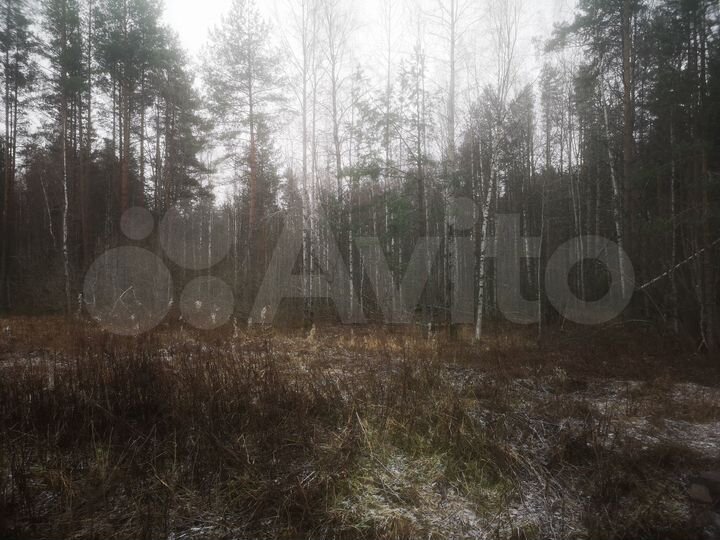 Участок 11 сот. (СНТ, ДНП)