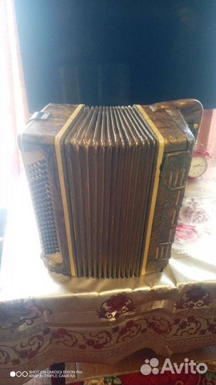 Баян meinel herold