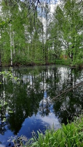 Дача 77 м² на участке 5 сот.