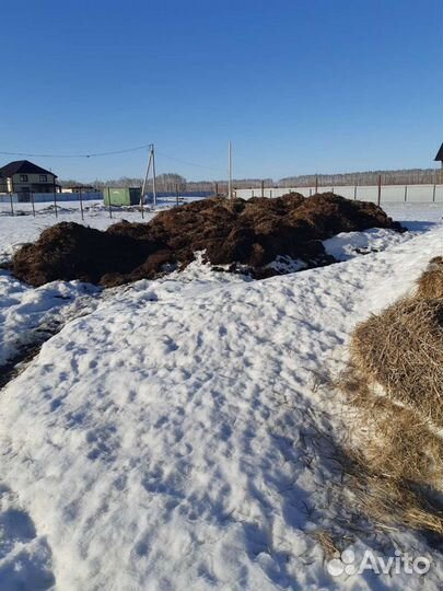 Навоз крс и помет курей