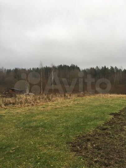 Участок 10 сот. (СНТ, ДНП)