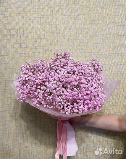 Гипсофила Цветы