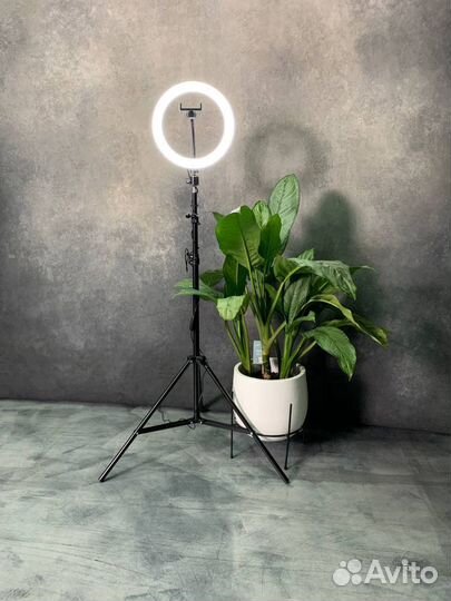 Кольцевая лампа 26 см + штатив