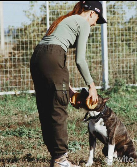 Дрессировка собак, аджилити, хендлинг