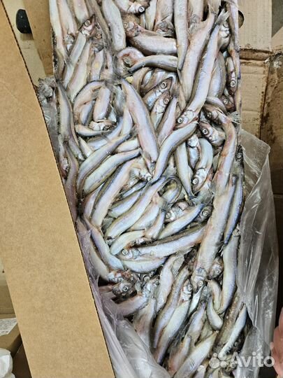 Мойва с икрой