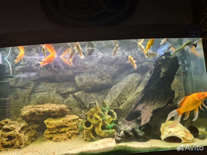 Фон 3D для аквариума