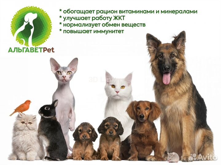 Живая хлорелла для животных Альгавет Pet 5,0 л