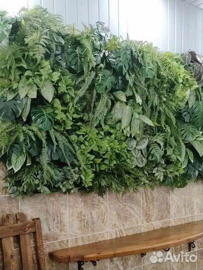 Фитостена. Услуги по изготовлению фитостен