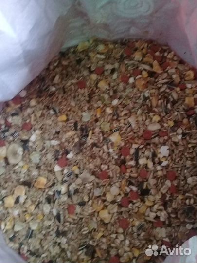 Корм зерно для крыс и др. грызунов