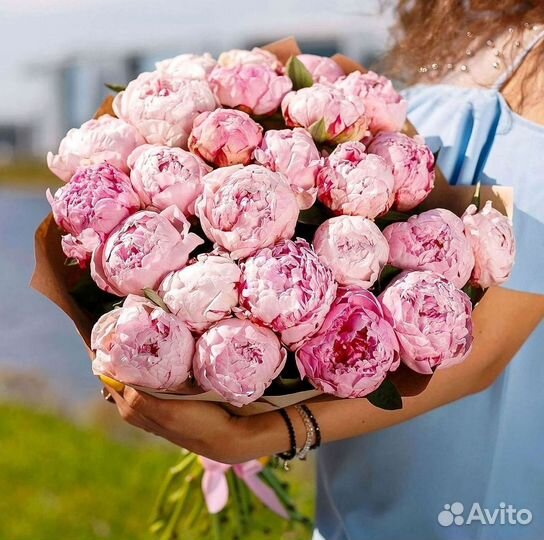 Пионы Букет пионов