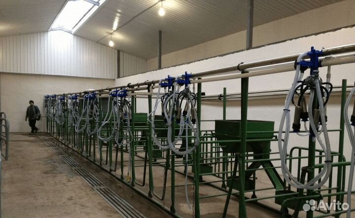 Станок для доения крс, удс