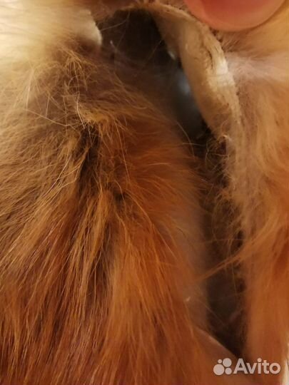 Аксессуары мех лиса для декора, подделок, игрушек