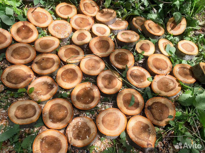 Спилы из дерева для интерьера