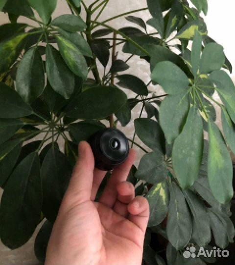 Мини камера видеонаблюдения wifi