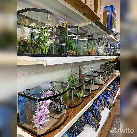 Аквариум в ассортименте