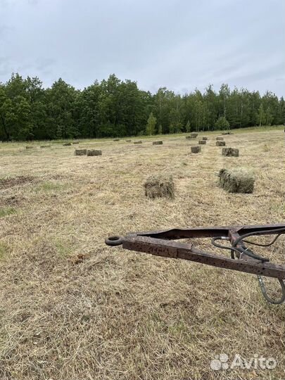 Сено в тюках