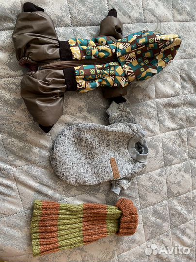 Вещи для маленьких собак