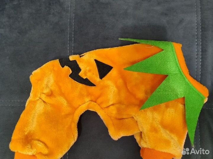 Одежда для животных