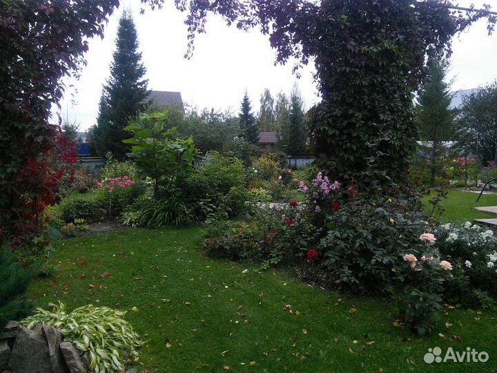 Многолетники