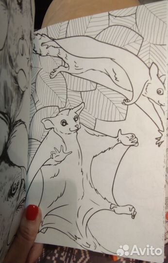 Раскраска антистресс