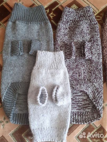 Одежда для животных