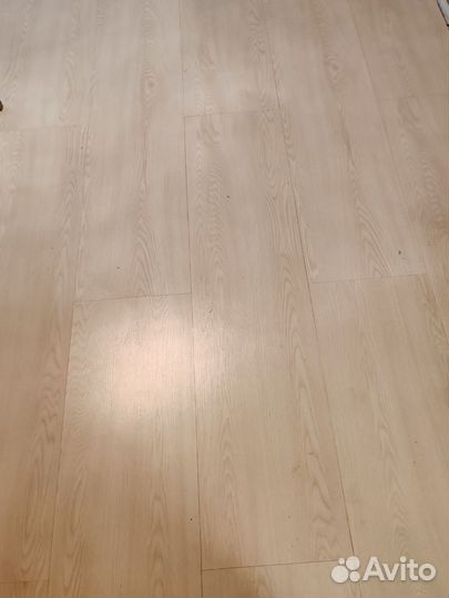 Ламината бу