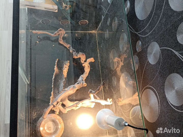 Аквариум для ящериц