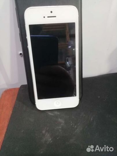 iPhone 5