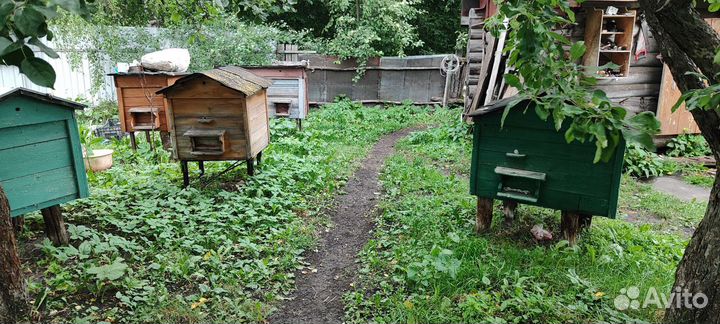 Продам ульи для пчёл двух стенные